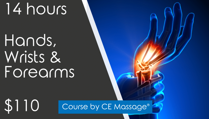 14 hr Hands, Wrists and Forearms from CEMassage.com