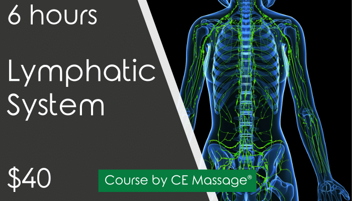 6 hr Lymphatic System Course from CEMassage.com